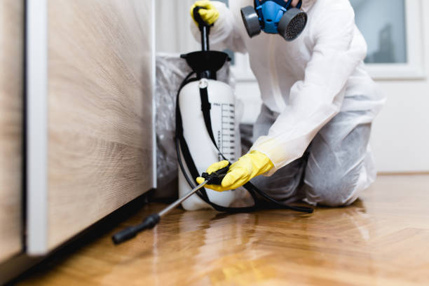 Best Bed Bug Extermination  in Berea, OH