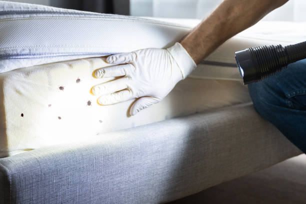 Best Residential Pest Control  in Berea, OH