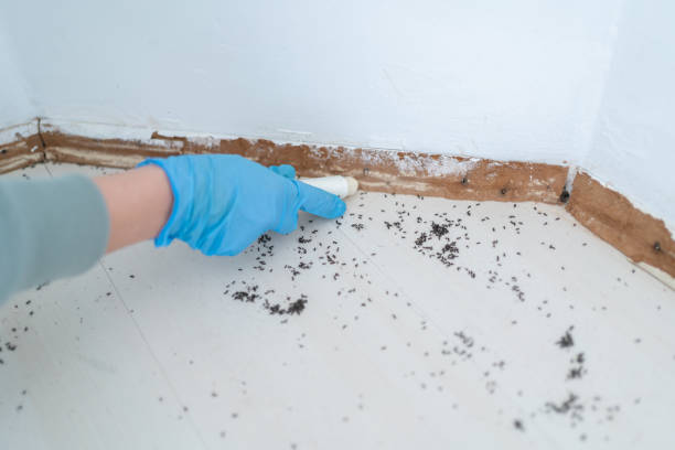 Best Pest Prevention Services  in Berea, OH