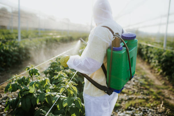 Reliable Berea, OH Pest Control Solutions